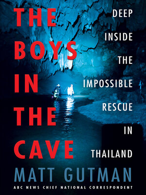 cover image of The Boys in the Cave
